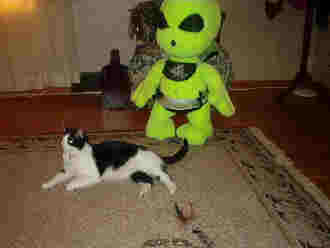 Quentin and the alien