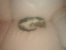 Lucky sleeping