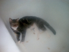 bath time