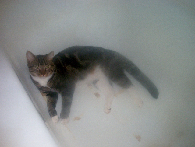 bath time