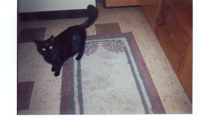 Star posing for the camera