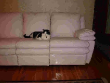Quentin & couch