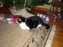 Quentin with presents