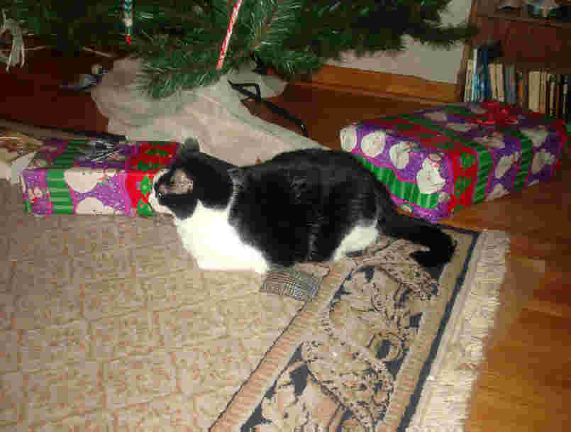 Quentin with presents