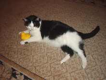 Quentin and his toy duck