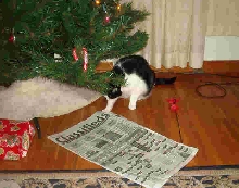 Quentin checks out the newspaper