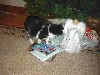Checking out Christmas presents