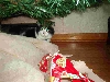 Can you see me?