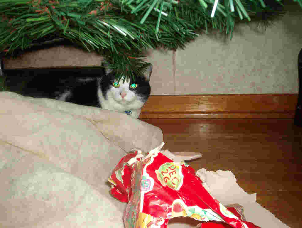 Can you see me?