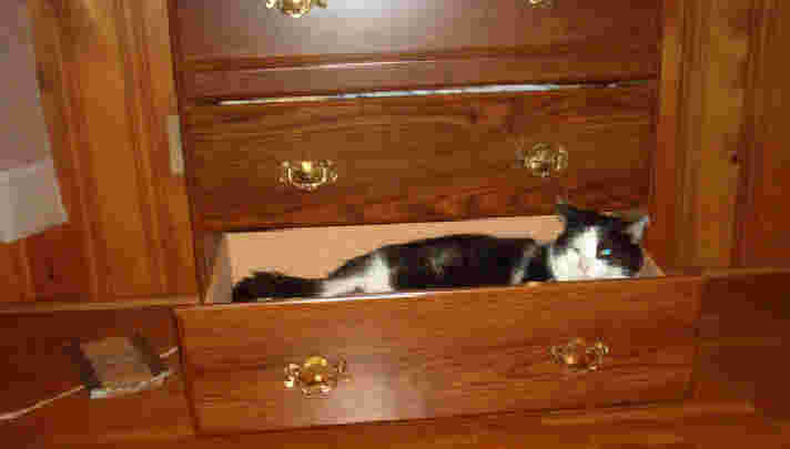 Quentin's new "catbed"