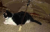 Quentin under umbrella