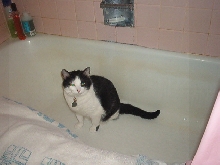 It's time for my bath; where's the water?