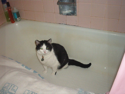 It's time for my bath; where's the water?