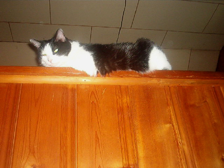 Quentin observes his domain