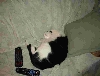 Sweet dreams