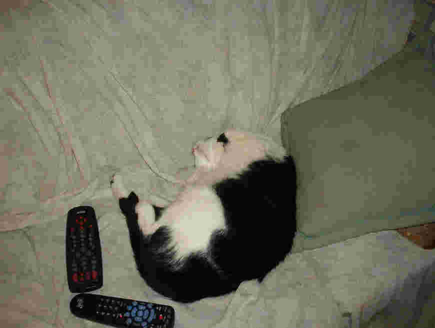Sweet dreams