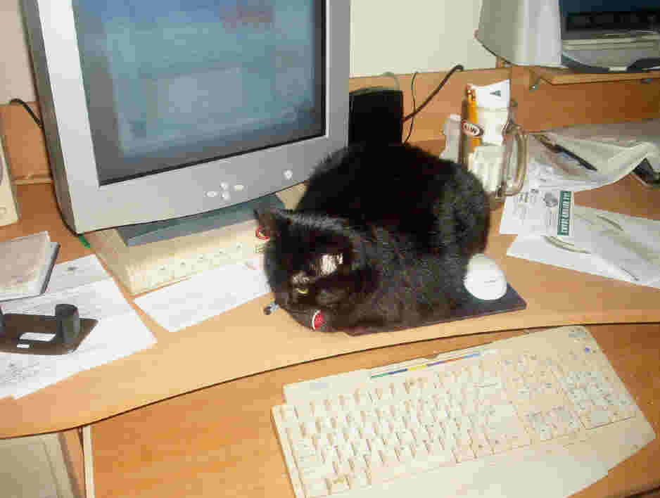 Star at the computer