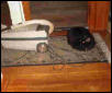 Star faces her nemesis, the vacuum