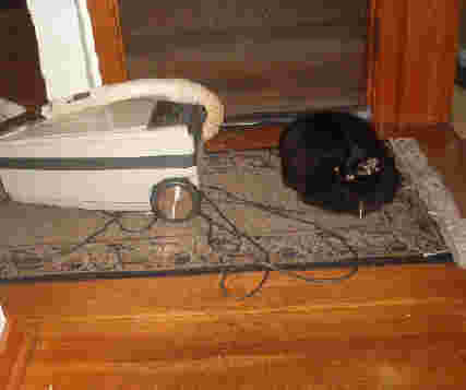 Star faces her nemesis, the vacuum