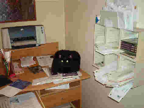 Star helping with paperwork