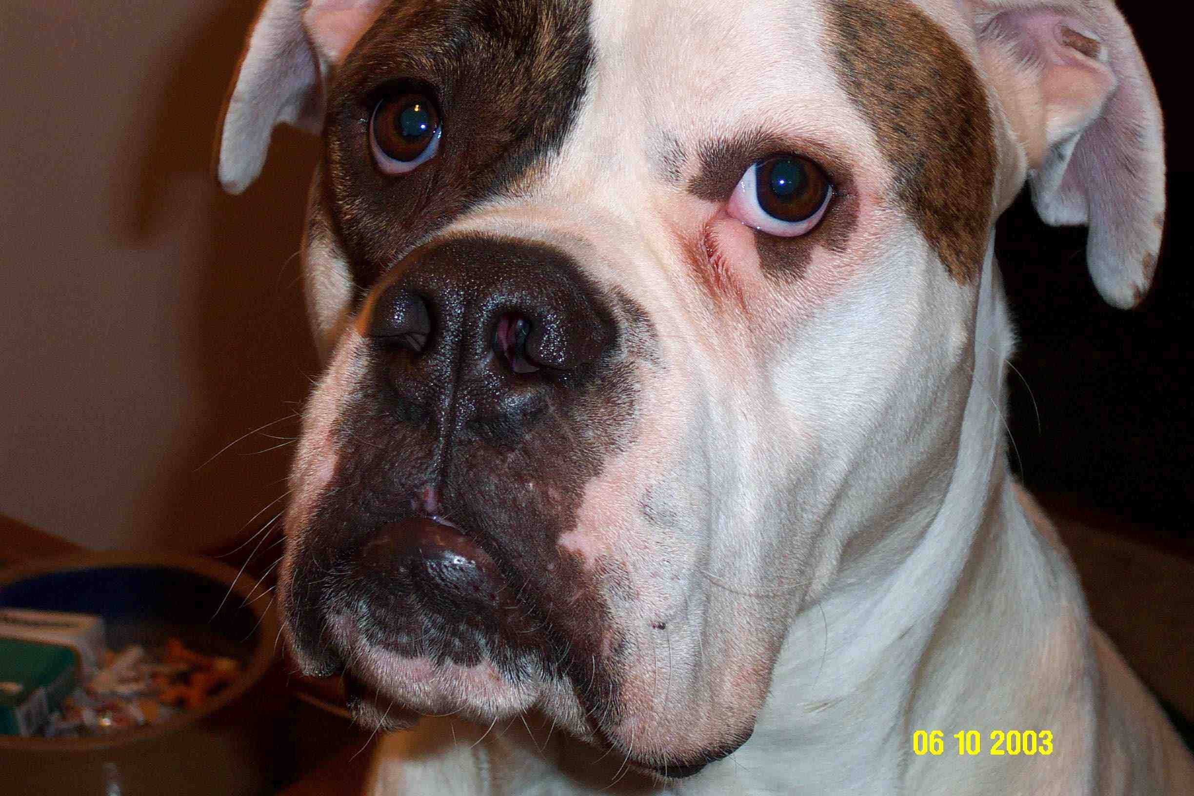 Diesel