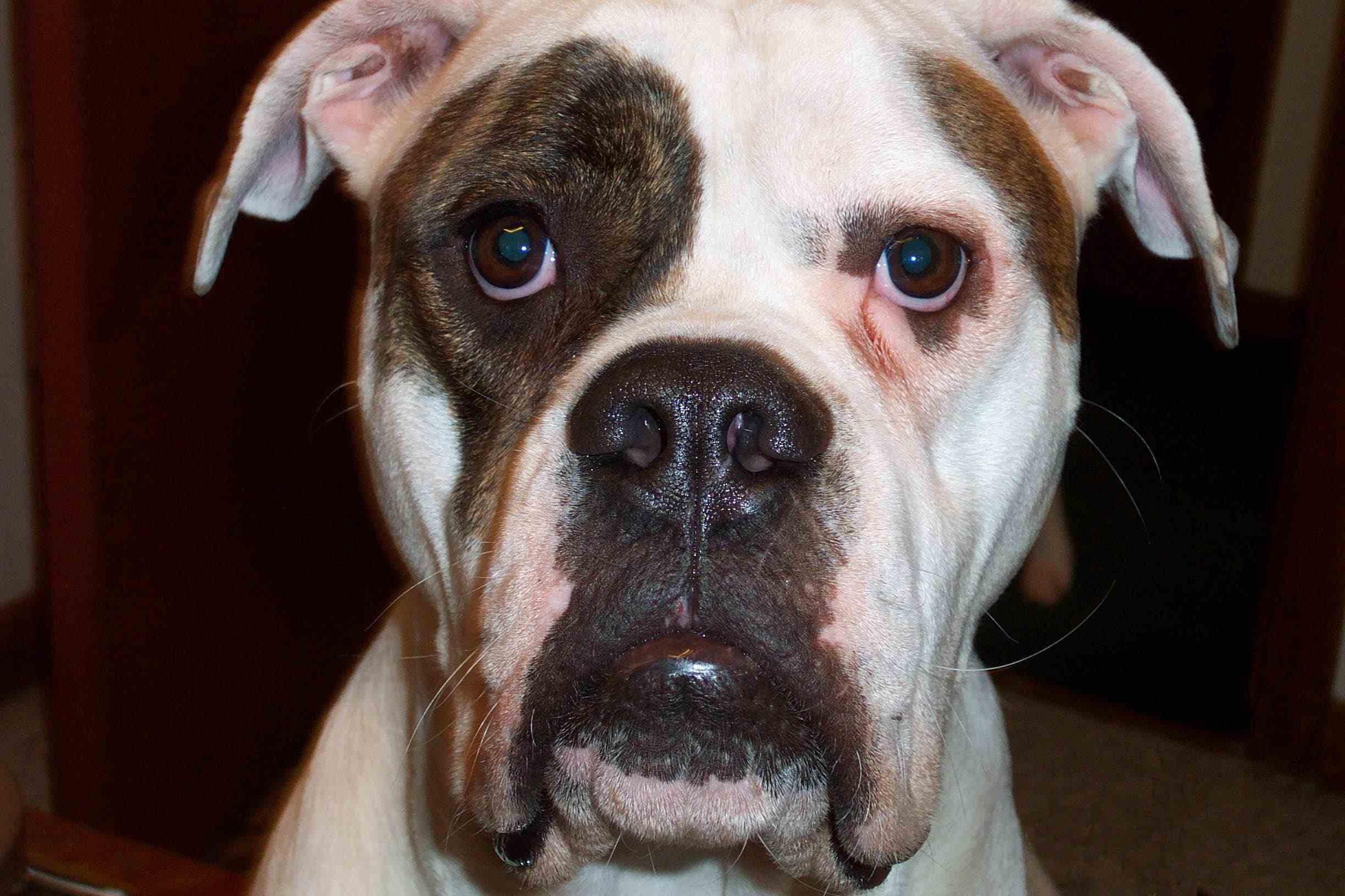 Diesel #2