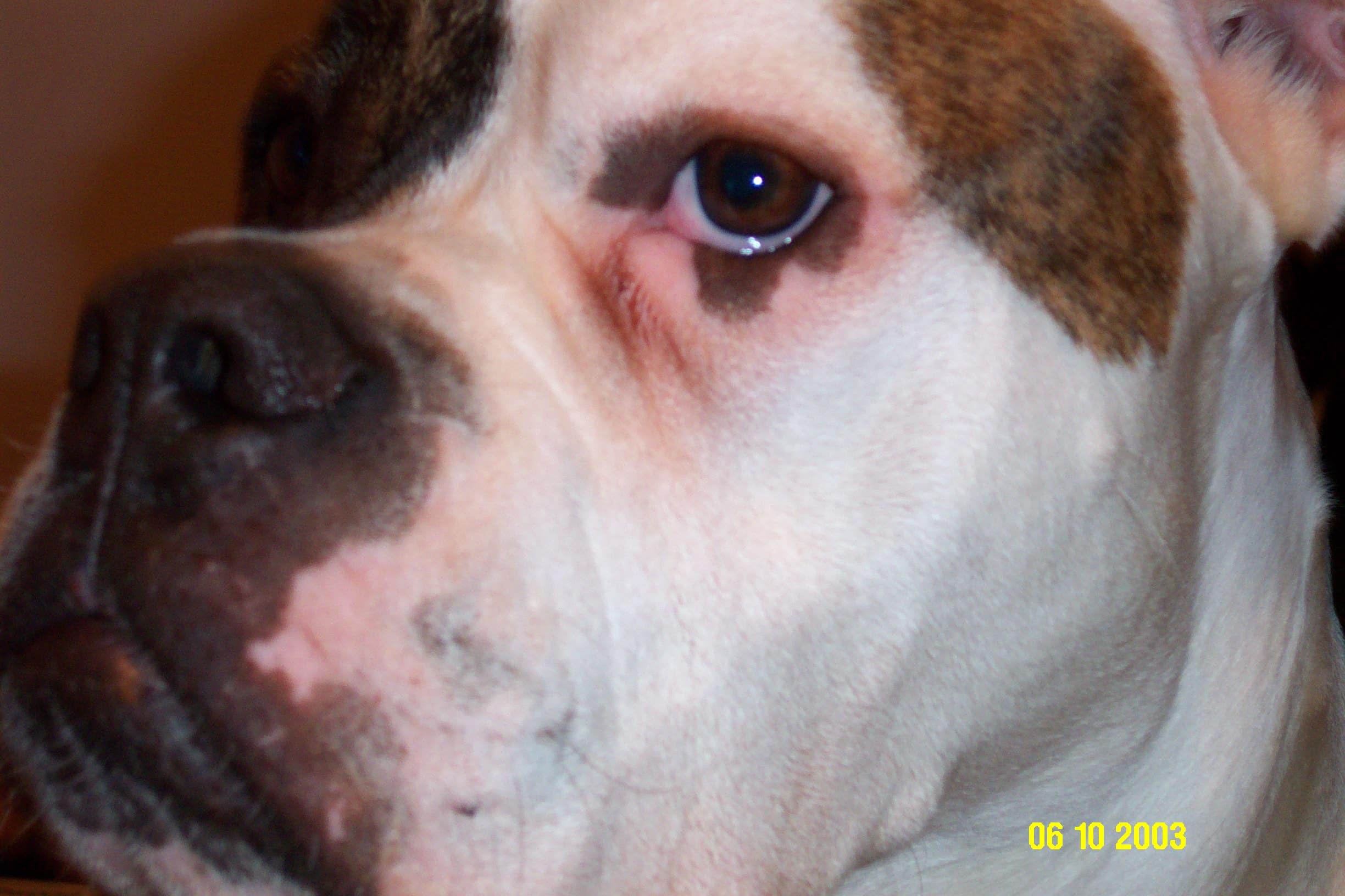 Diesel #3