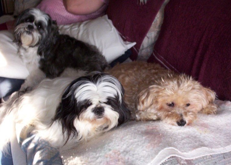 Buddies relaxing