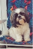 Becker in HIS lawn chair