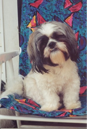 Becker in HIS lawn chair