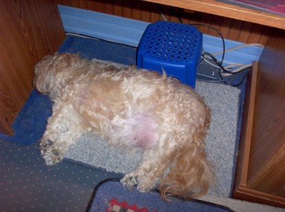Boom under the puter desk