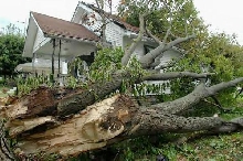 Storm Damage