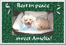 Amelia...rest in peace