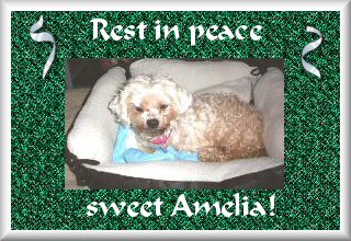 Amelia...rest in peace