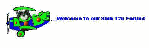 Welcome plane