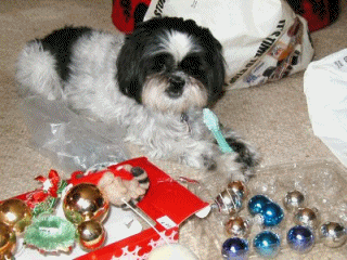 Anim...why is it...ornaments