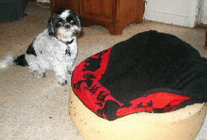 Anim bed after bath...