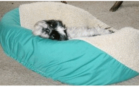 Animation I'm getting up, honest!