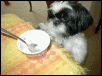 Animation sprinkles