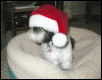 Anim Santa Hat