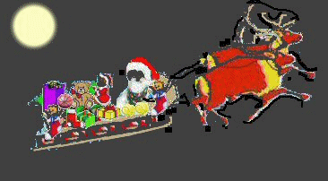 Santa Sleigh anim night