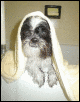 Bath..during/after...