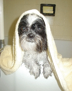 Bath..during/after...