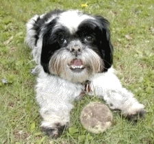 Yeah, I buried it in the dirt.