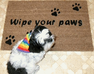 Anim wipe your paws