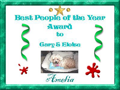 Award Amelia
