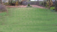 Backyard...