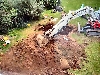 Backyard mess