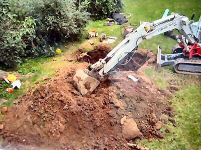 Backyard mess