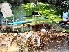 Backyard trench